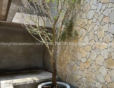 SỰ ĐỘC ĐÁO CỦA ĐÁ RỐI VÀNG ỐP GIẾNG TRỜI TRONG KHÔNG GIAN SỐNG